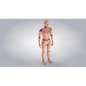 Woman Crash Test Dummy 3D model